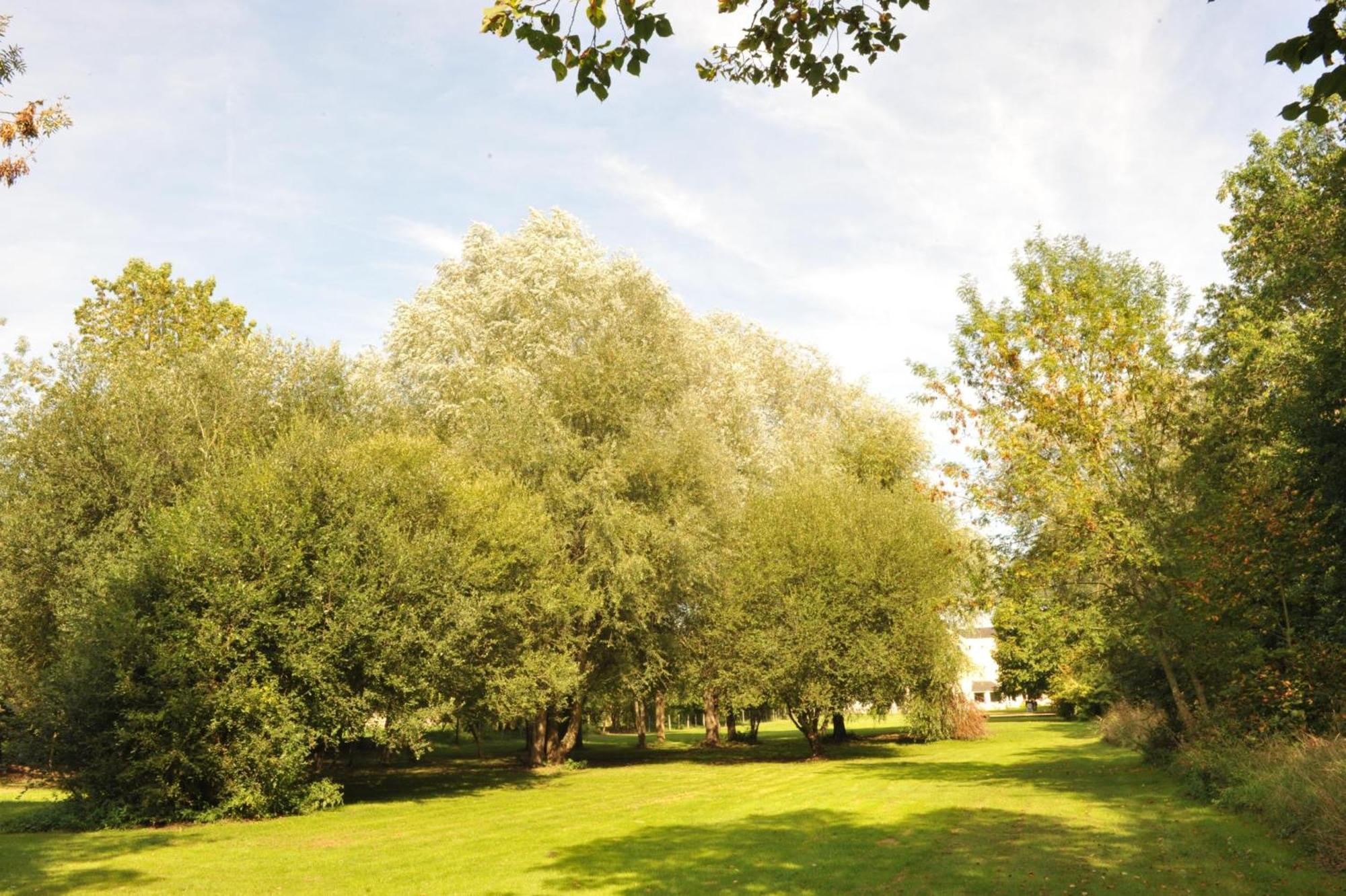Logis Hotel Le Relais Du Moulin Valençay Zewnętrze zdjęcie